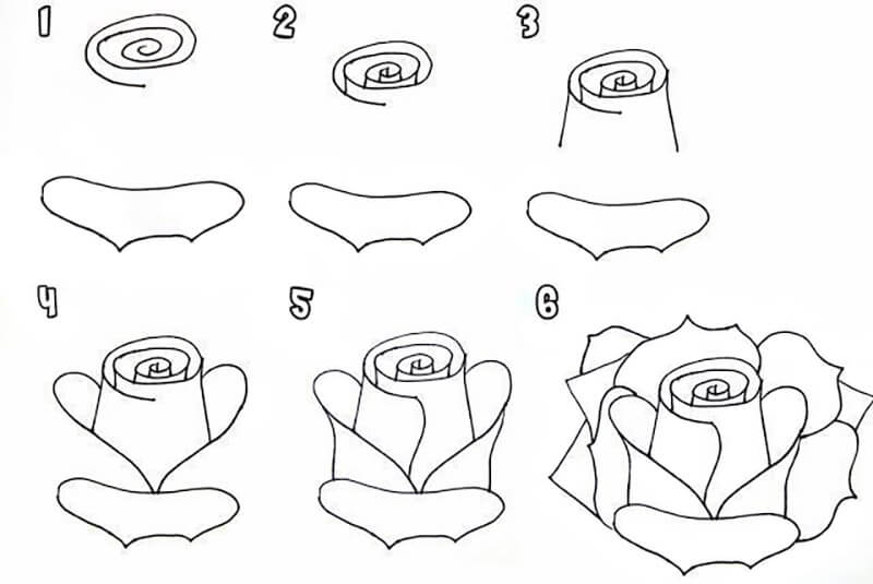 красивая роза Рисунки