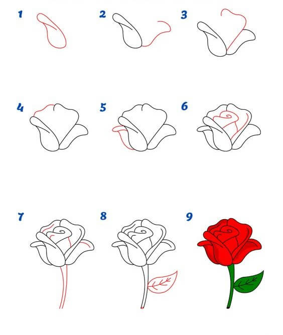 утренняя роза Рисунки