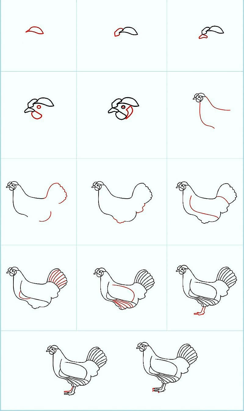 A Beautiful Chicken pисунки