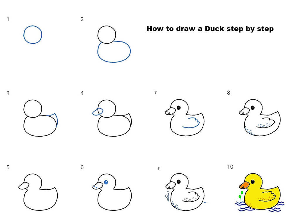 A Duck is swimming pисунки