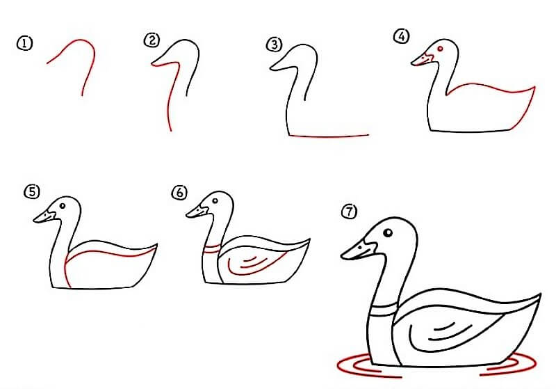 белая утка Рисунки