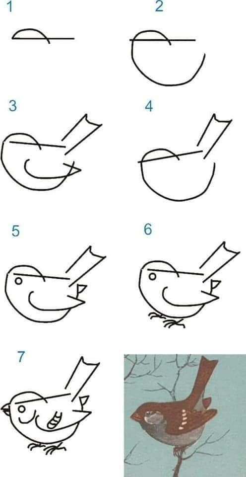 чёрная птица Рисунки