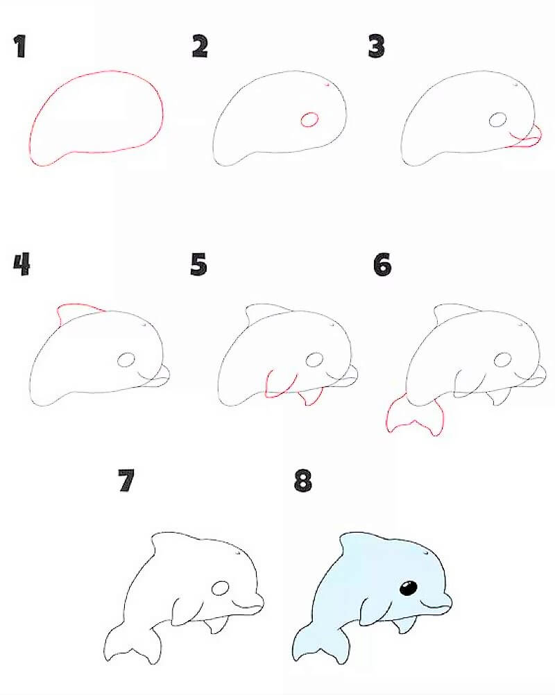 Дельфин с радугой Рисунки
