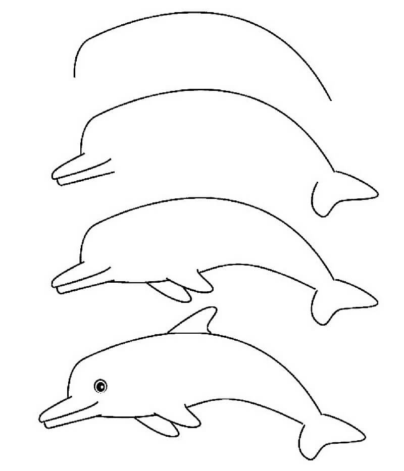 Дельфин спит Рисунки