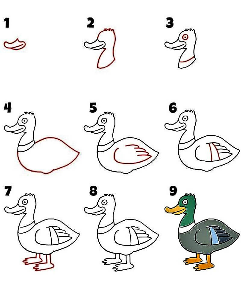 Duck Idea 10 pисунки