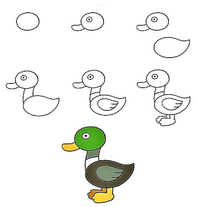 Duck Idea 11 pисунки