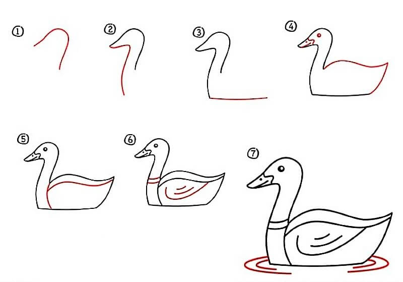 Duck Idea 14 pисунки