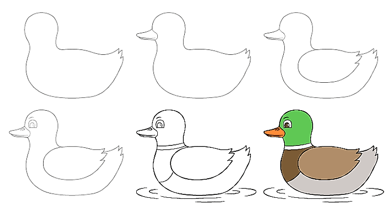 Duck Idea 9 pисунки