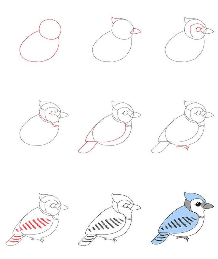 лесная птица Рисунки
