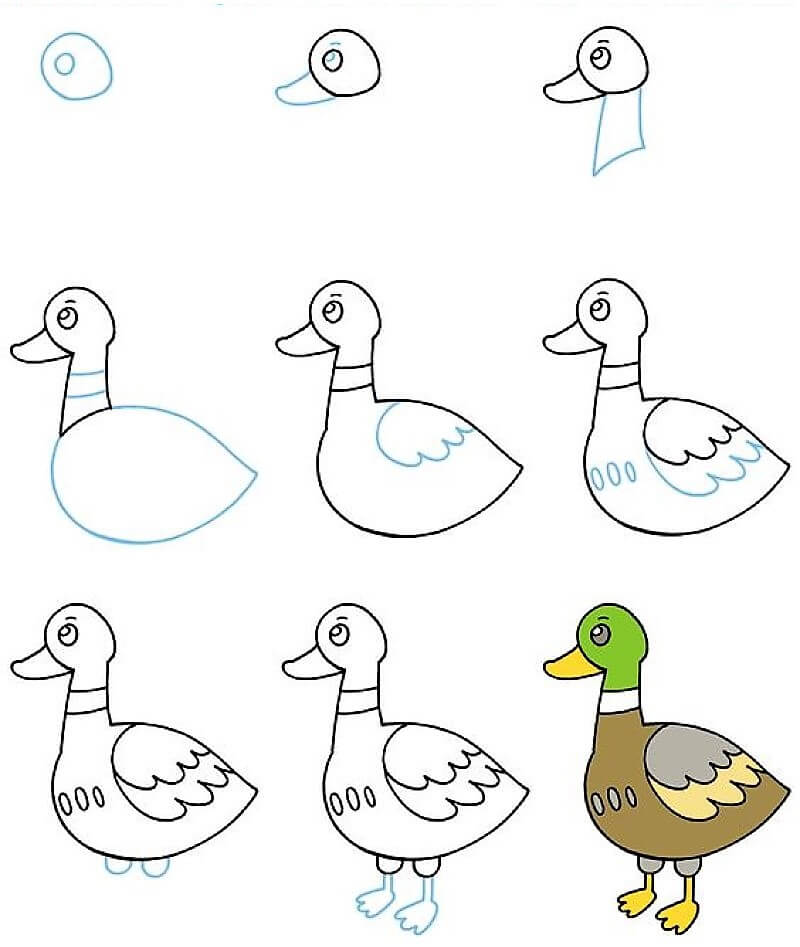 милая утка Рисунки