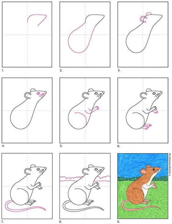 полевая мышь Рисунки