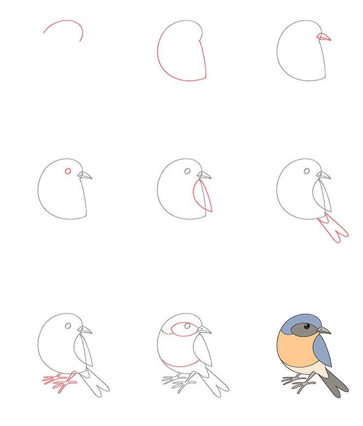 сонная птица Рисунки