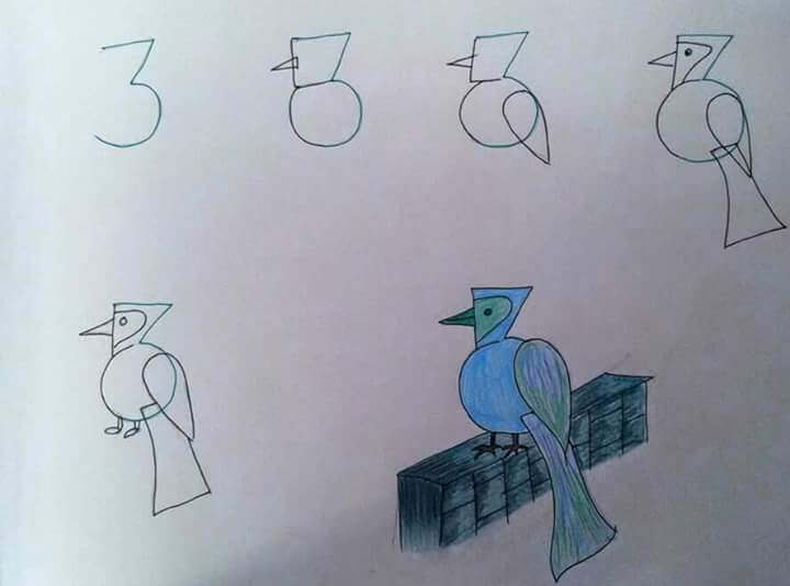 яркая птица Рисунки
