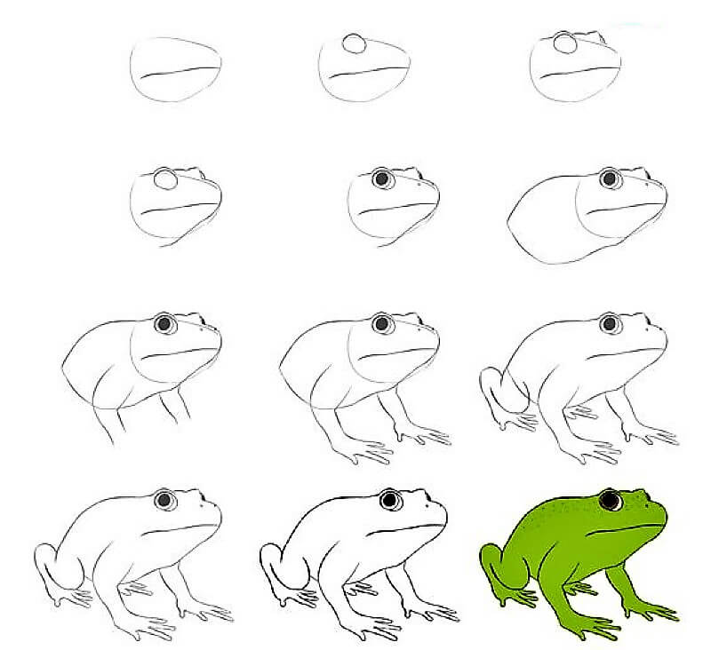 Зелёная лягушка Рисунки