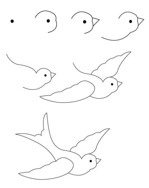 жемчужная птица Рисунки
