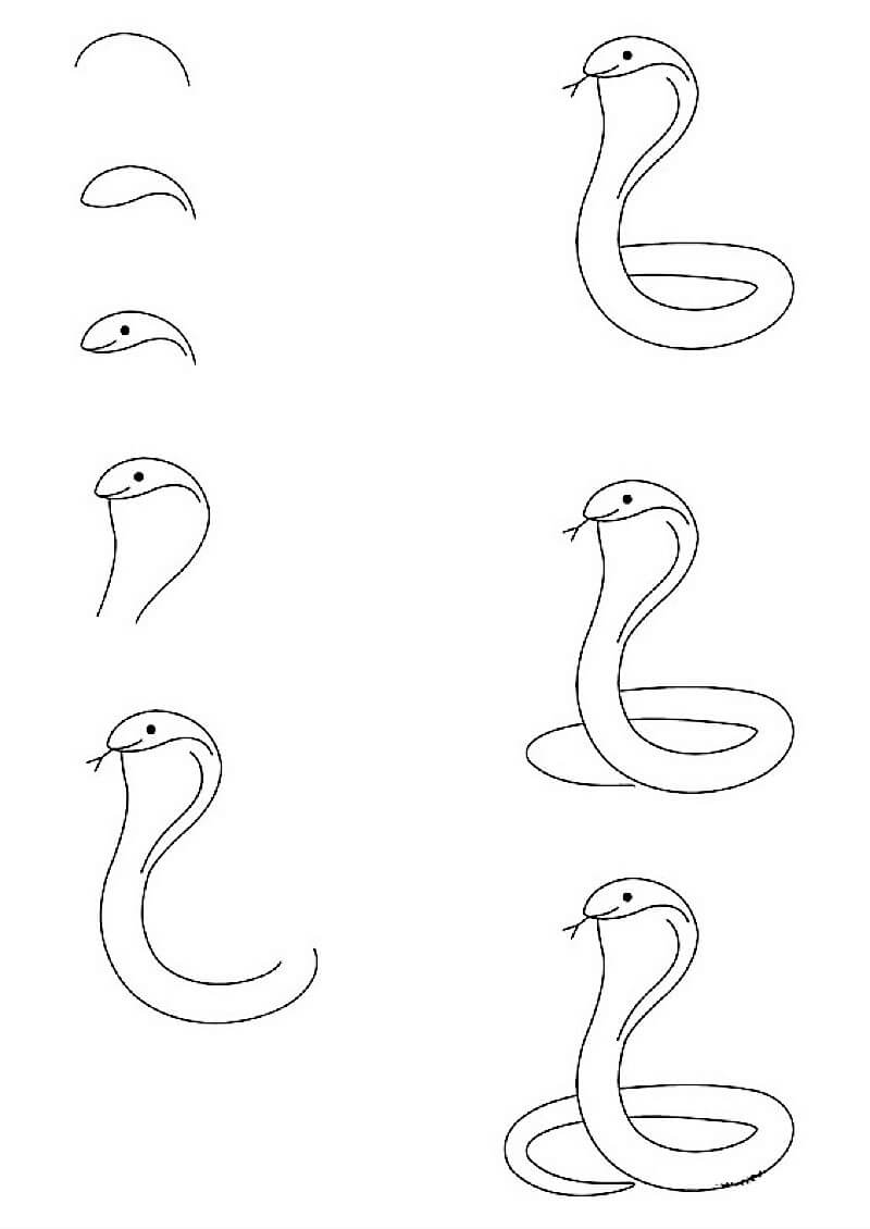 A Simple Cobra pисунки