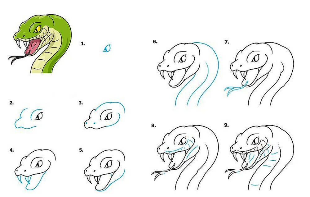 Полосатая змея Рисунки
