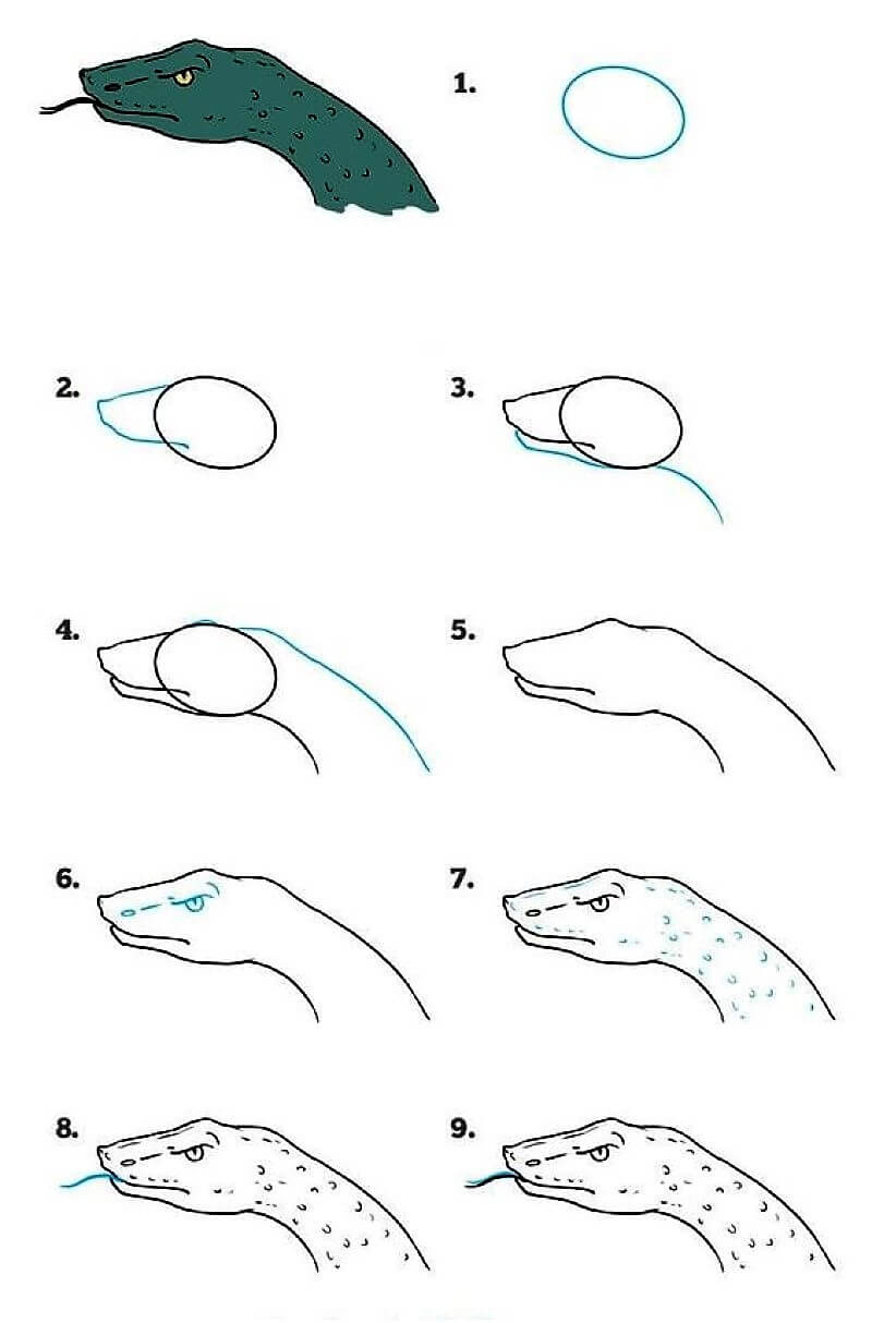 Пятнистая змея Рисунки