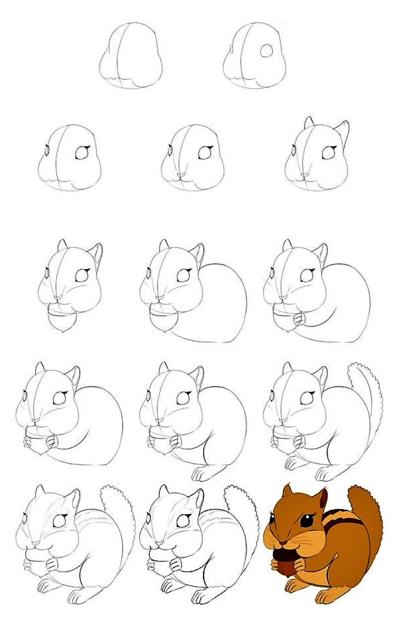 Белка чиби Рисунки