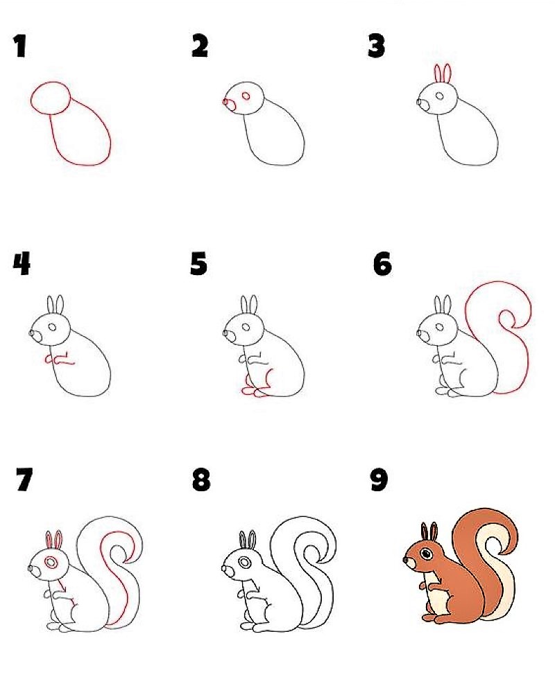 Белка мультяшная Рисунки