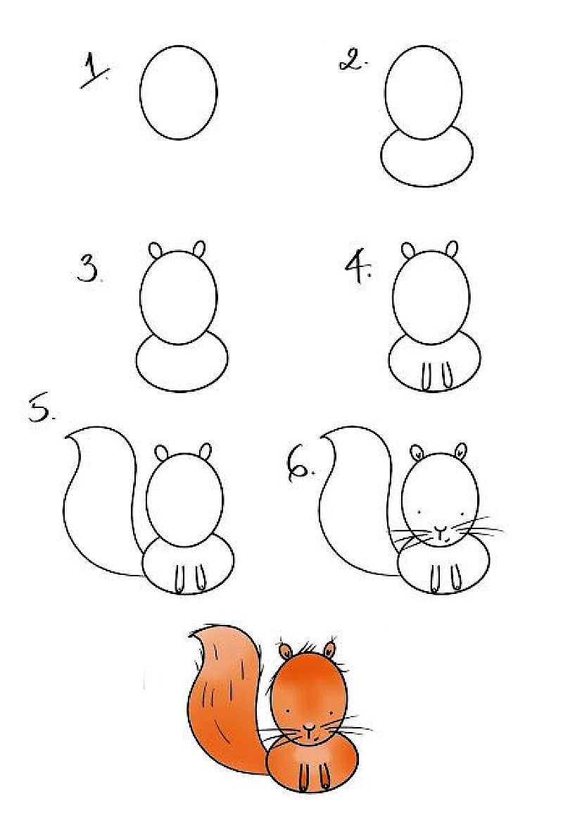 Белка с орехом Рисунки
