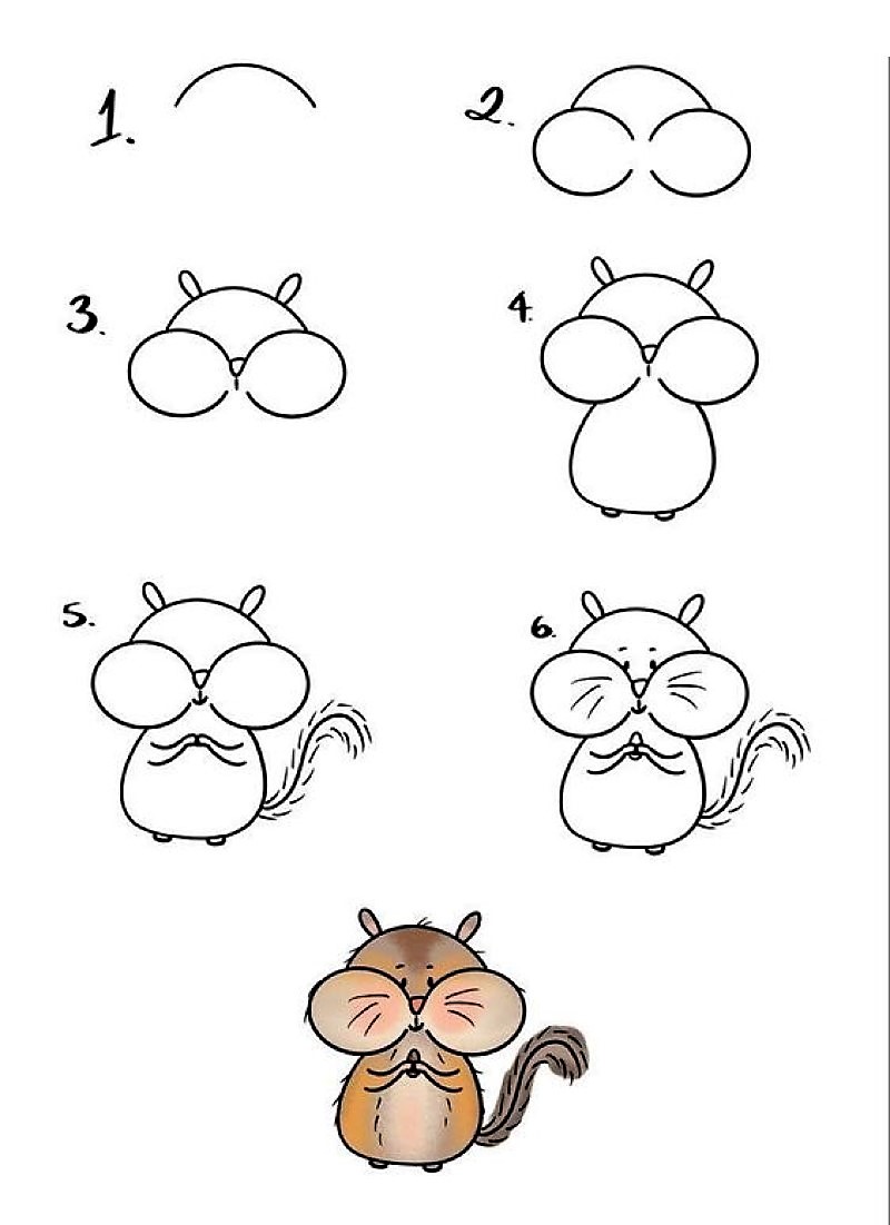 Белка улыбается Рисунки