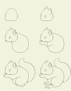 Белка в лесу Рисунки