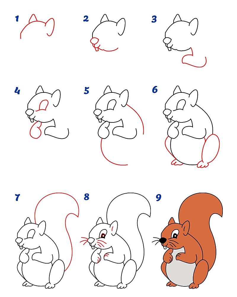 Белочка Рисунки