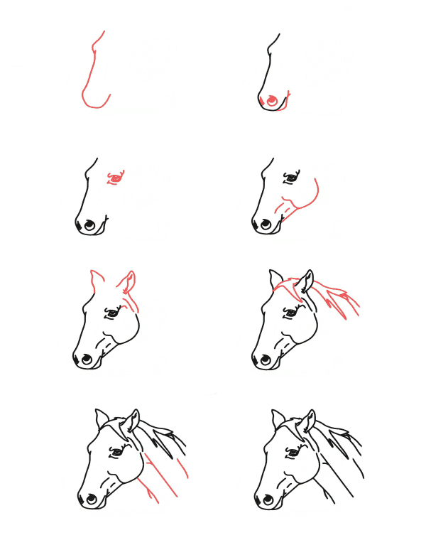 Лошадь улыбается Рисунки