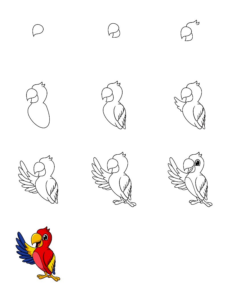 Parrot Рисунки