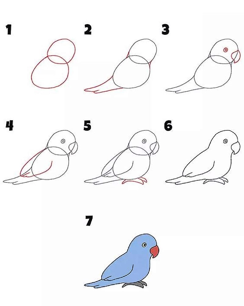 Попугай синий Рисунки