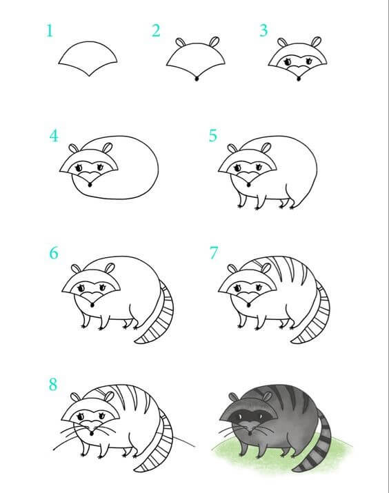 Енот на ветке Рисунки
