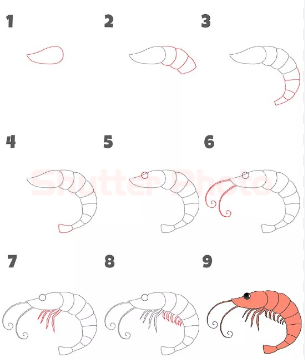 Креветка кавайная Рисунки