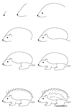 Ёж колючий Рисунки