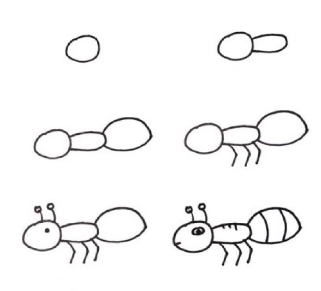 Муравей с добычей Рисунки
