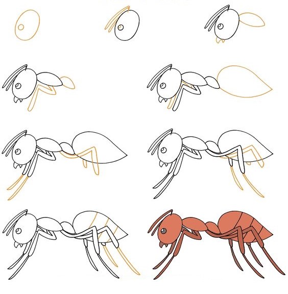 Муравей смелый Рисунки