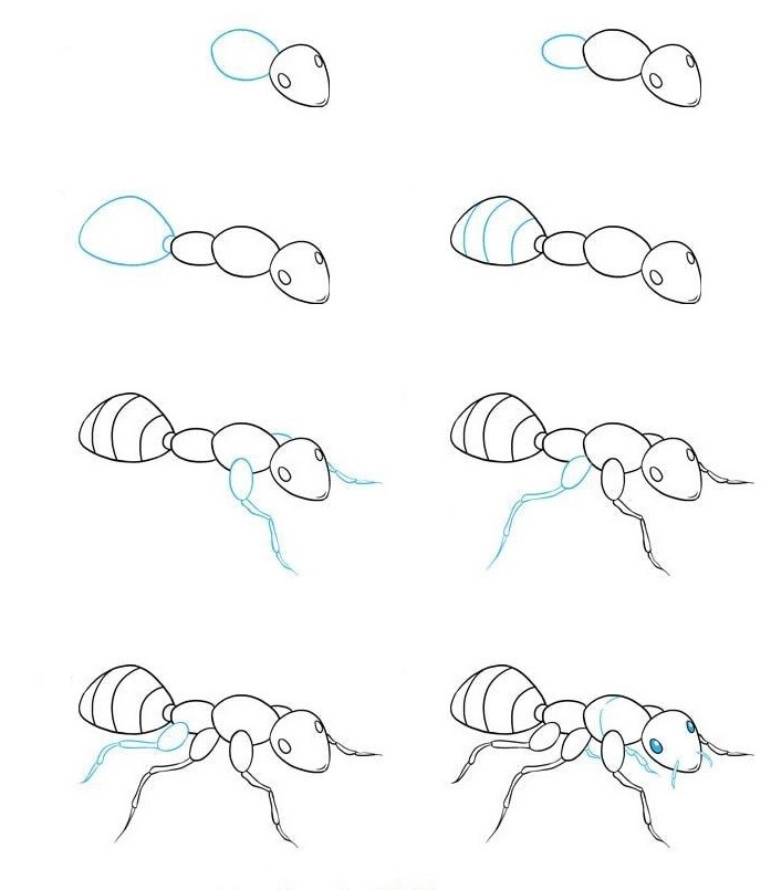 Муравей среди травы Рисунки