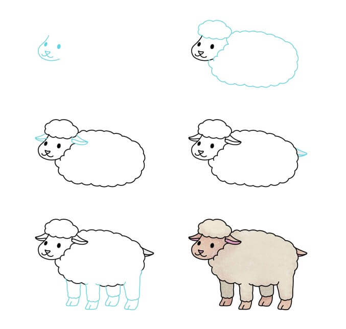 Овца белая Рисунки